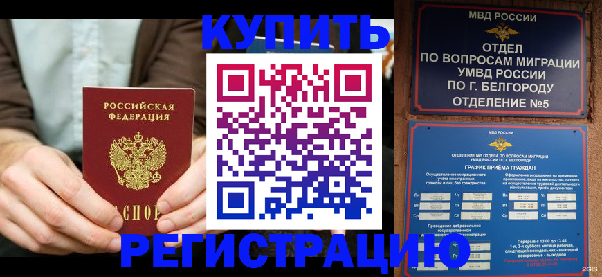 прописка 2025 в Полярных Зорях